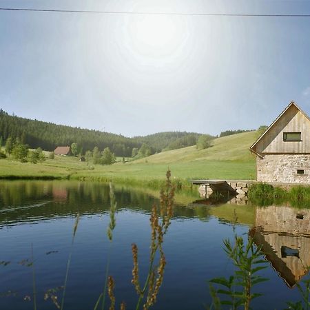 霍恩伯格Ferienhaus Im Schwarzwald Am See "Backhaeusle"别墅 外观 照片